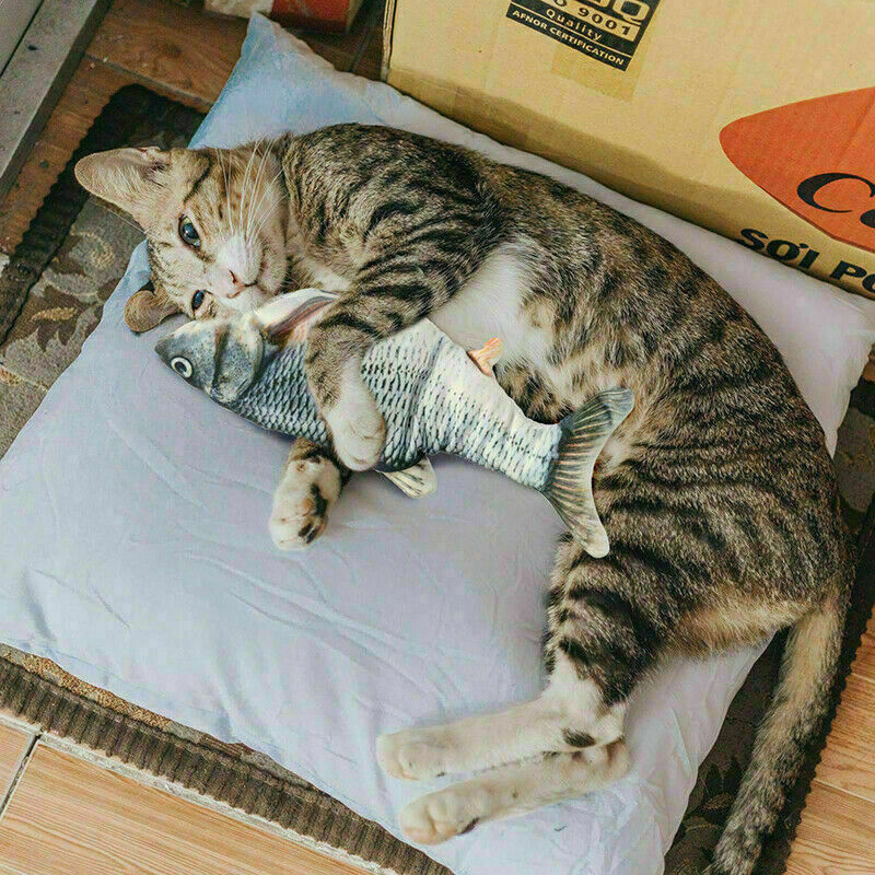 Interactive elektronische Vis Speeltje voor een kat.