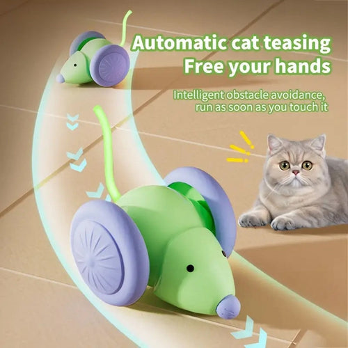 Huisdierenspeelgoed Interactief Katten Speelgoed Elektrische Muisauto - Automatische Teaser